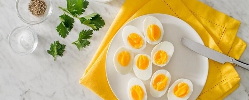زرده یا سفیده تخم مرغ
