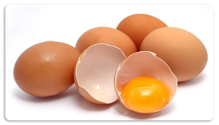 تخم مرغ در طب سنتی