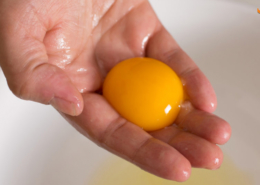 تخم مرغ مایع پاستوریزه - زرده