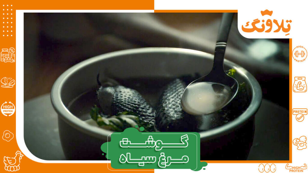 گوشت مرغ سیاه و فواید آن