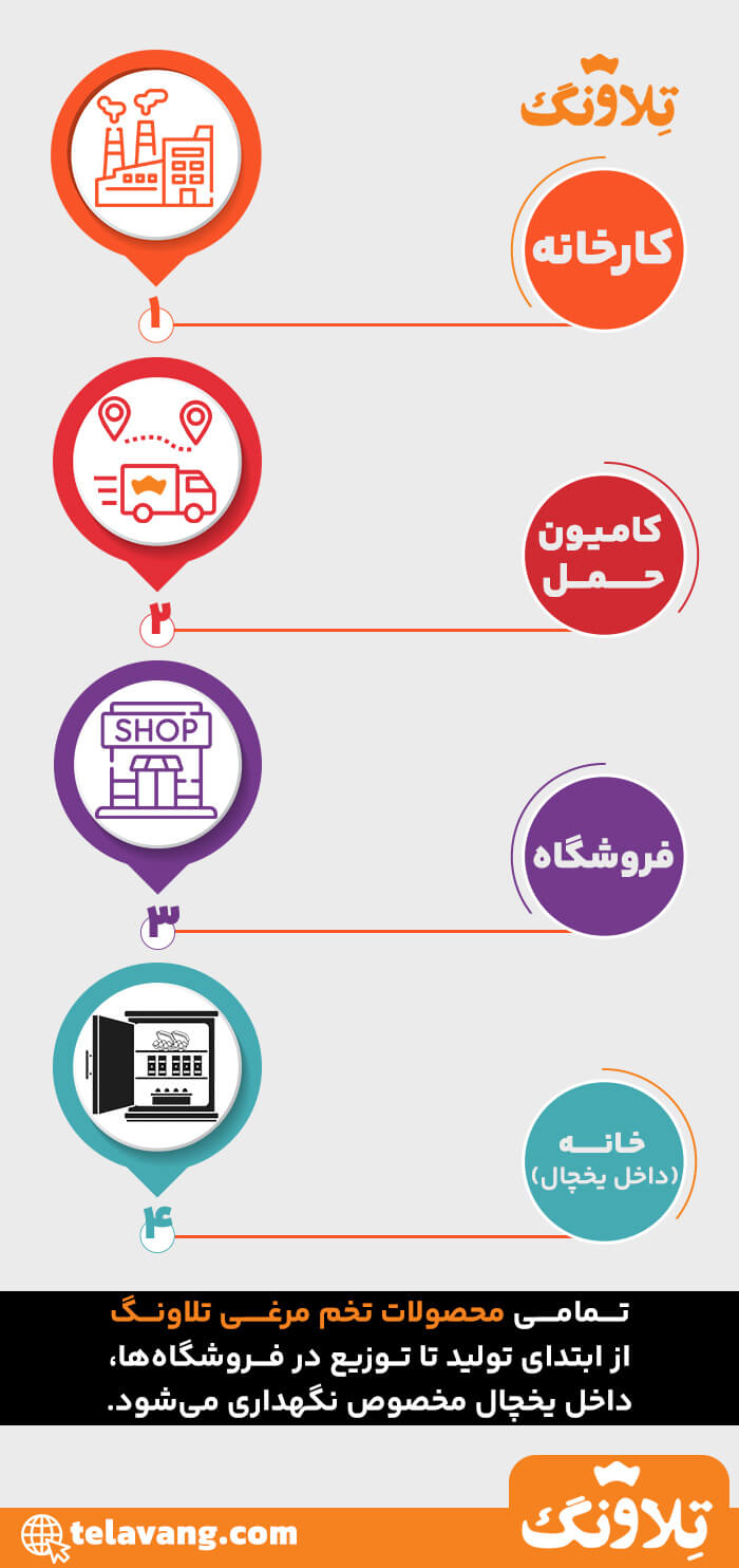 نحوه نگهداری تخم مرغ از کارخانه تا مغازه