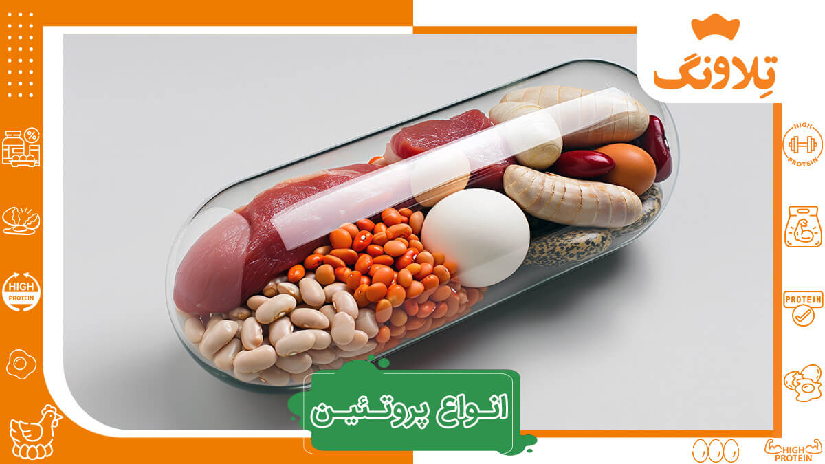 انواع پروتئین