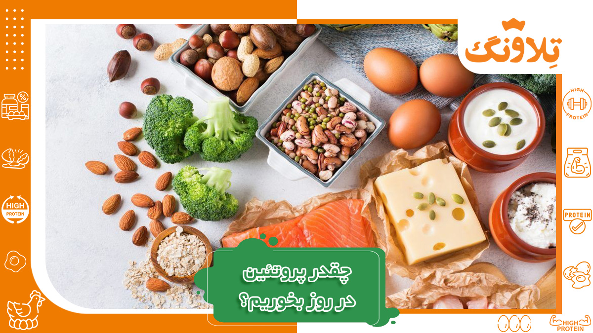 چقدر پروتئین در روز مصرف کنیم؟