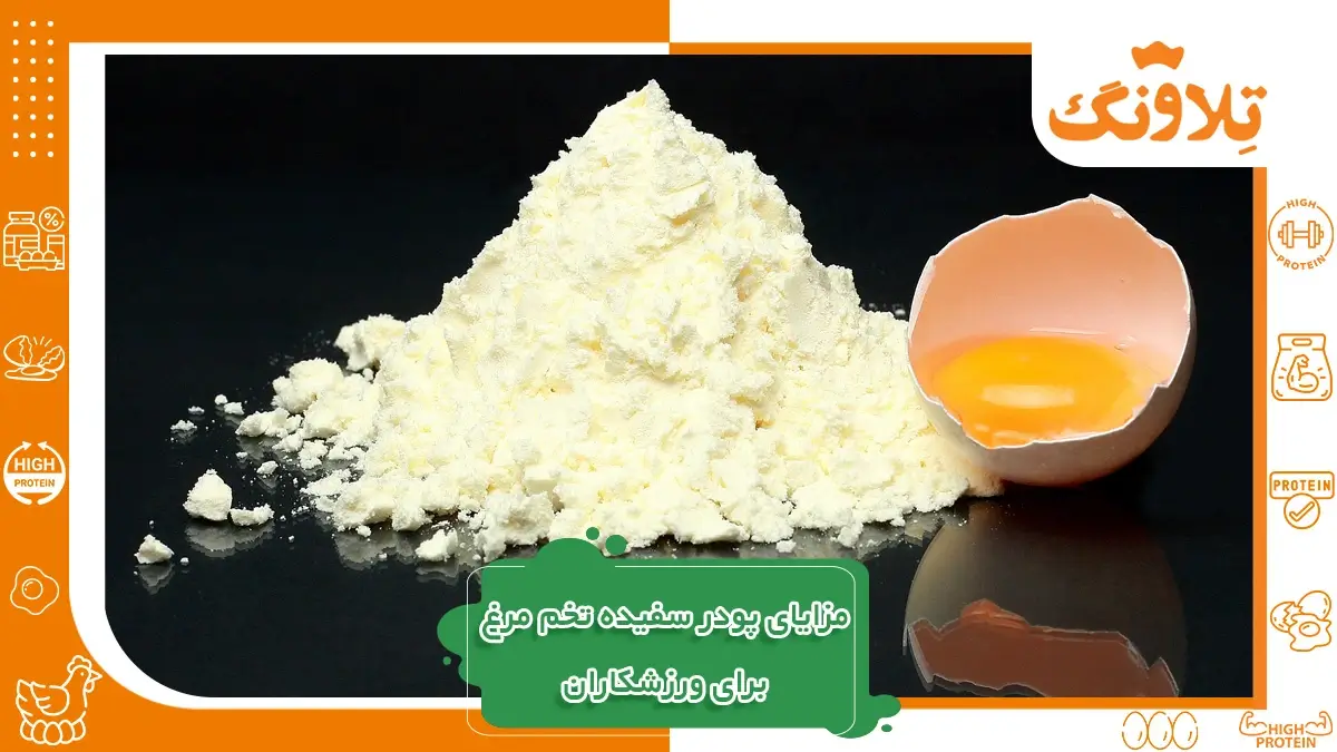 مزایای پودر پروتئین سفیده تخم مرغ