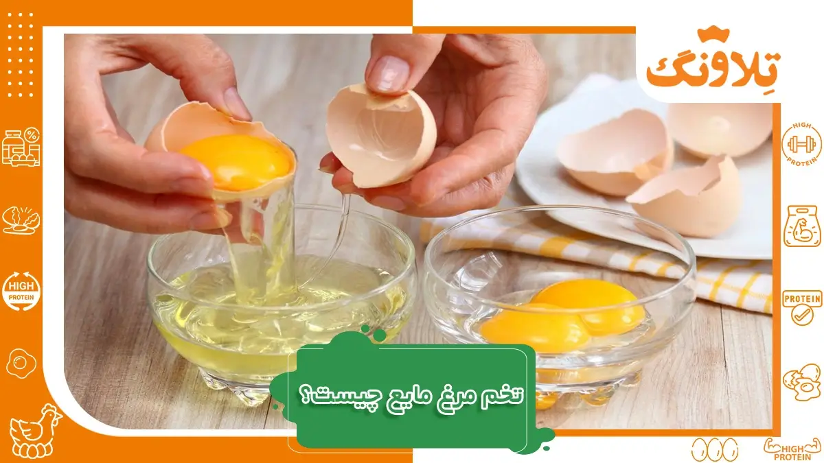 تخم مرغ پاستوریزه مایع