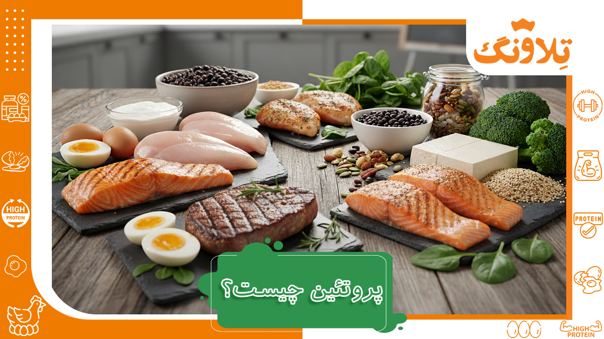 پروتئین چیست به زبان ساده