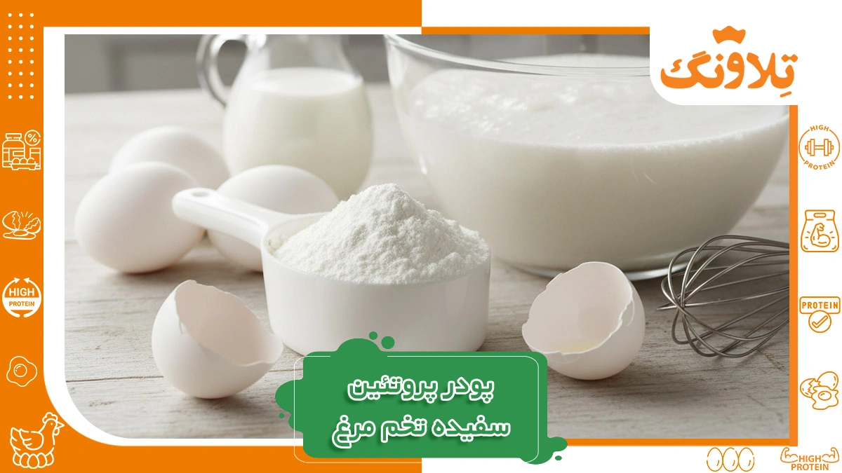 پودر پروتئین سفیده تخم مرغ