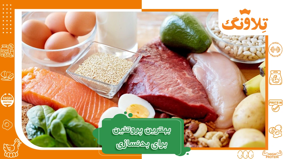 بهترین پروتئین برای بدنسازی