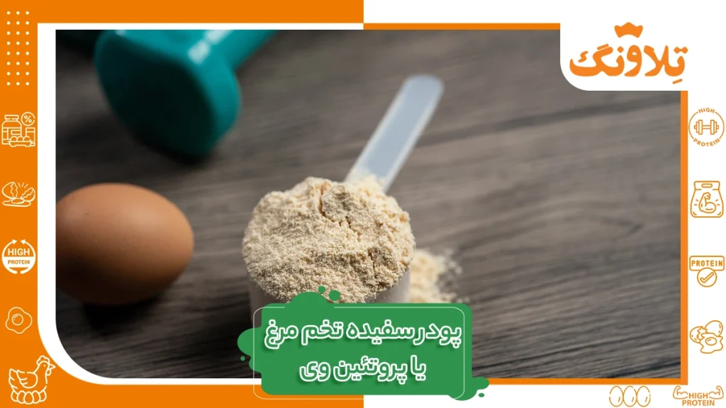 پروتئین سفیده تخم مرغ بهتر است یا پروتئین وی