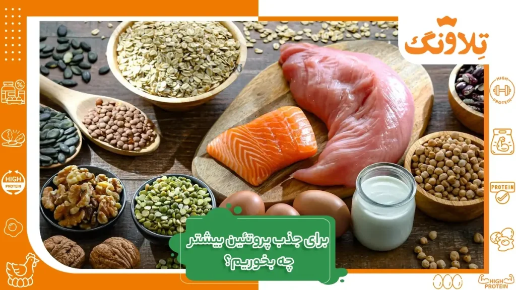 برای جذب پروتئین بیشتر چه بخوریم