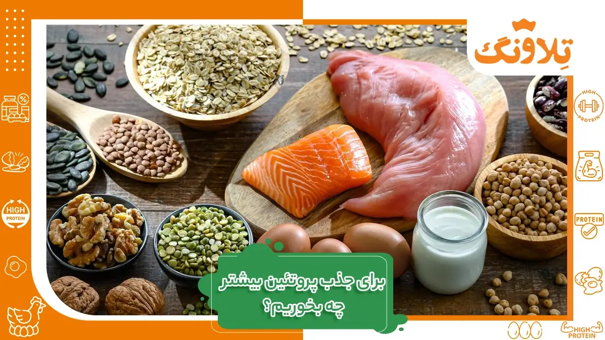 برای جذب پروتئین بیشتر چه بخوریم