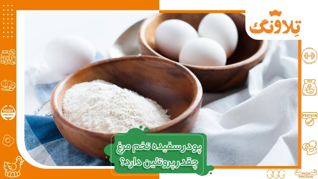 پودر سفیده تخم مرغ چقدر پروتئین دارد؟