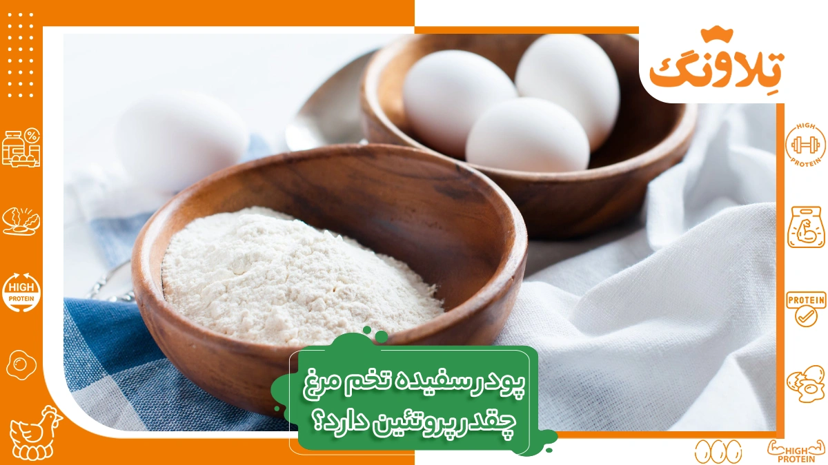 پودر سفیده تخم مرغ چقدر پروتئین دارد؟
