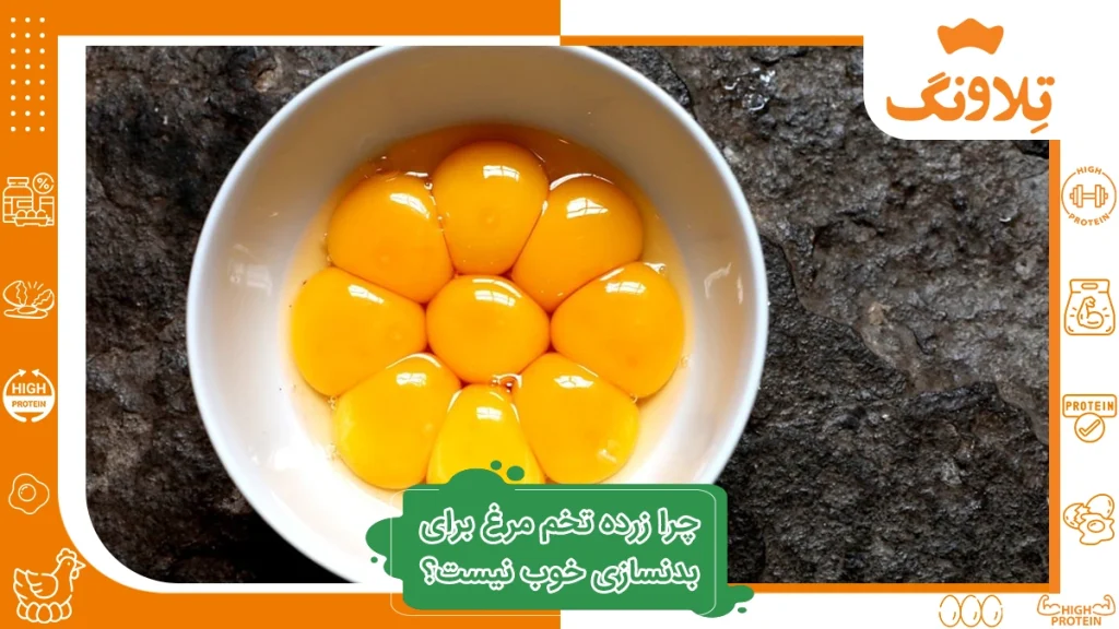 زرده تخم مرغ برای بدنسازی