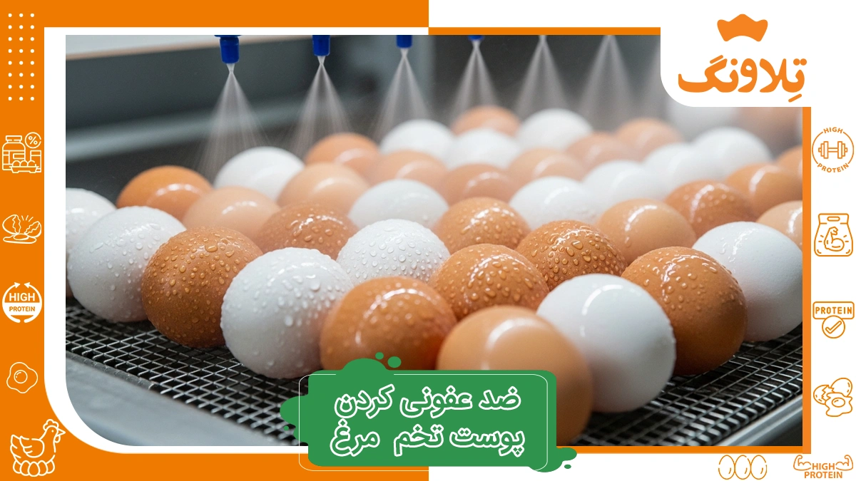 ضد عفونی کردن پوست تخم مرغ