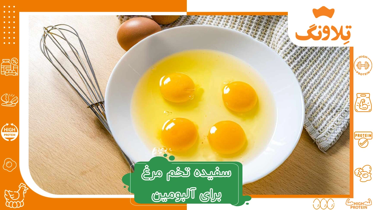 آلبومین سفیده تخم مرغ