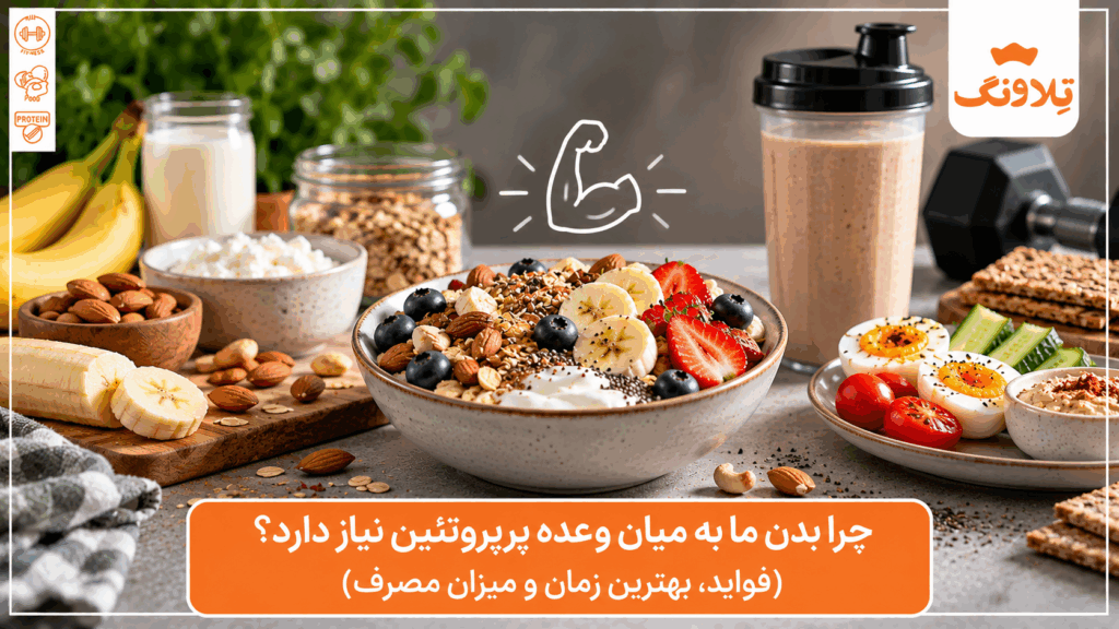 چرا بدن ما به میان‌ وعده پرپروتئین نیاز دارد؟ (فواید، بهترین زمان و میزان مصرف)